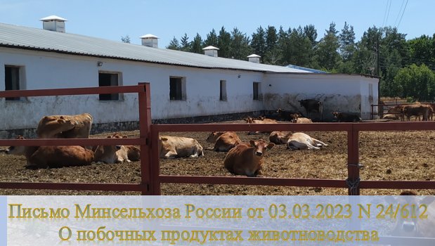 Побочные продукты животноводства 1