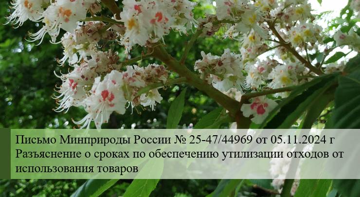 Разъяснение о сроках по обеспечению утилизации отходов от использования товаров