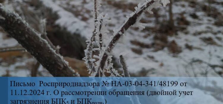 Письмо Росприроднадзора № НА-03-04-341/48199 от 11.12.2024 г. О рассмотрении обращения (двойной учет загрязнения БПК5 и БПКполн) Разъяснение РПН по БПК