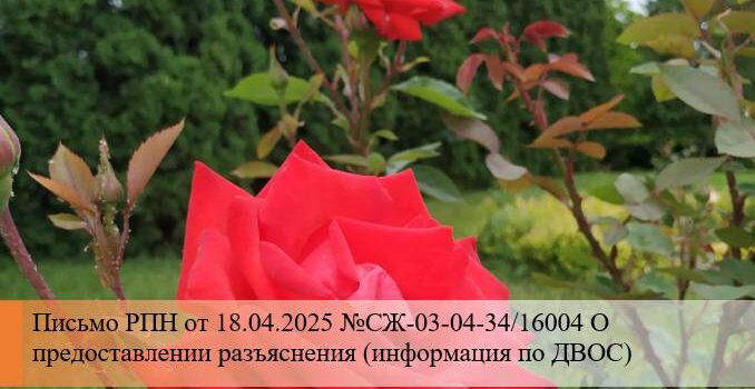 Письмо РПН - ДВОС