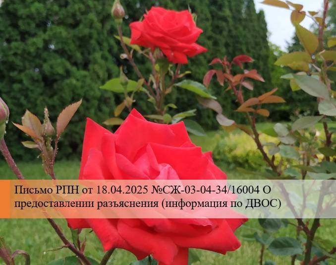 Письмо РПН - ДВОС