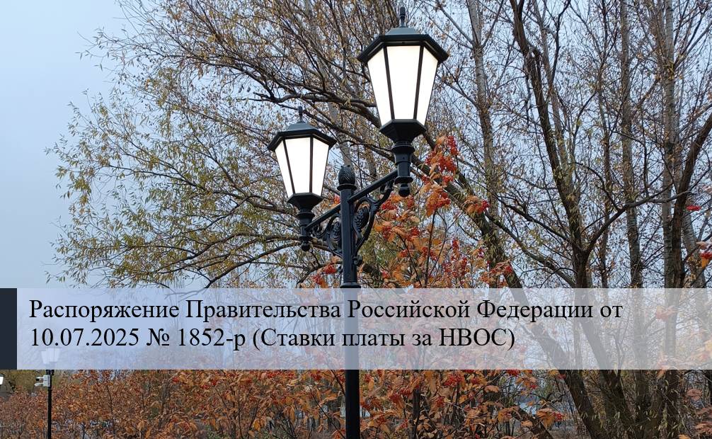 Ставки платы