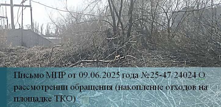 Древесные отходы