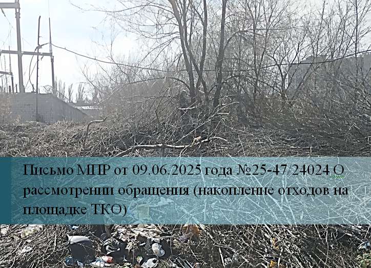 Древесные отходы