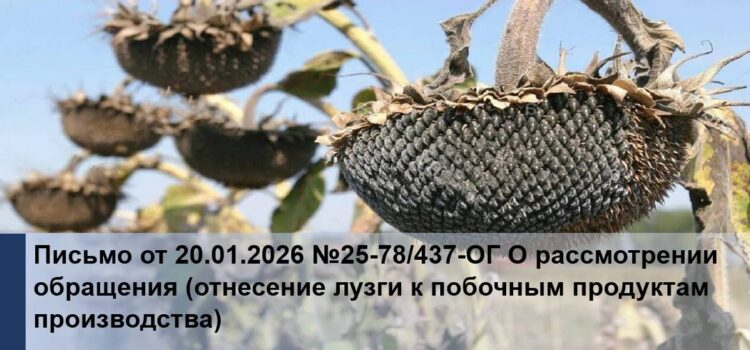 Лузга побочный продукт