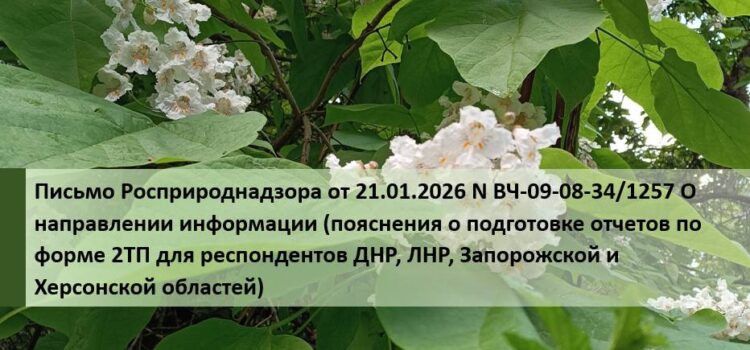 Отчеты ЛНР и ДНР